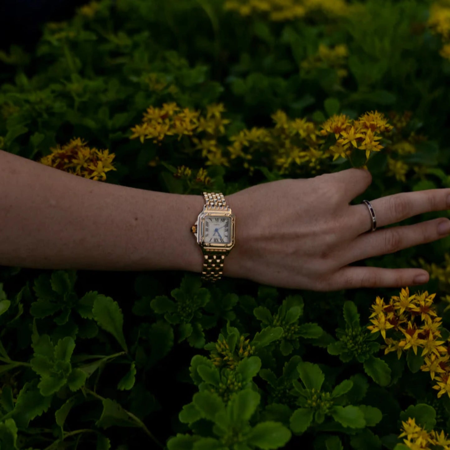 Maniva © - Calista | Oro de 14K