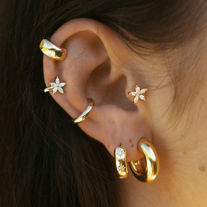 Aros semi-creoles Harper